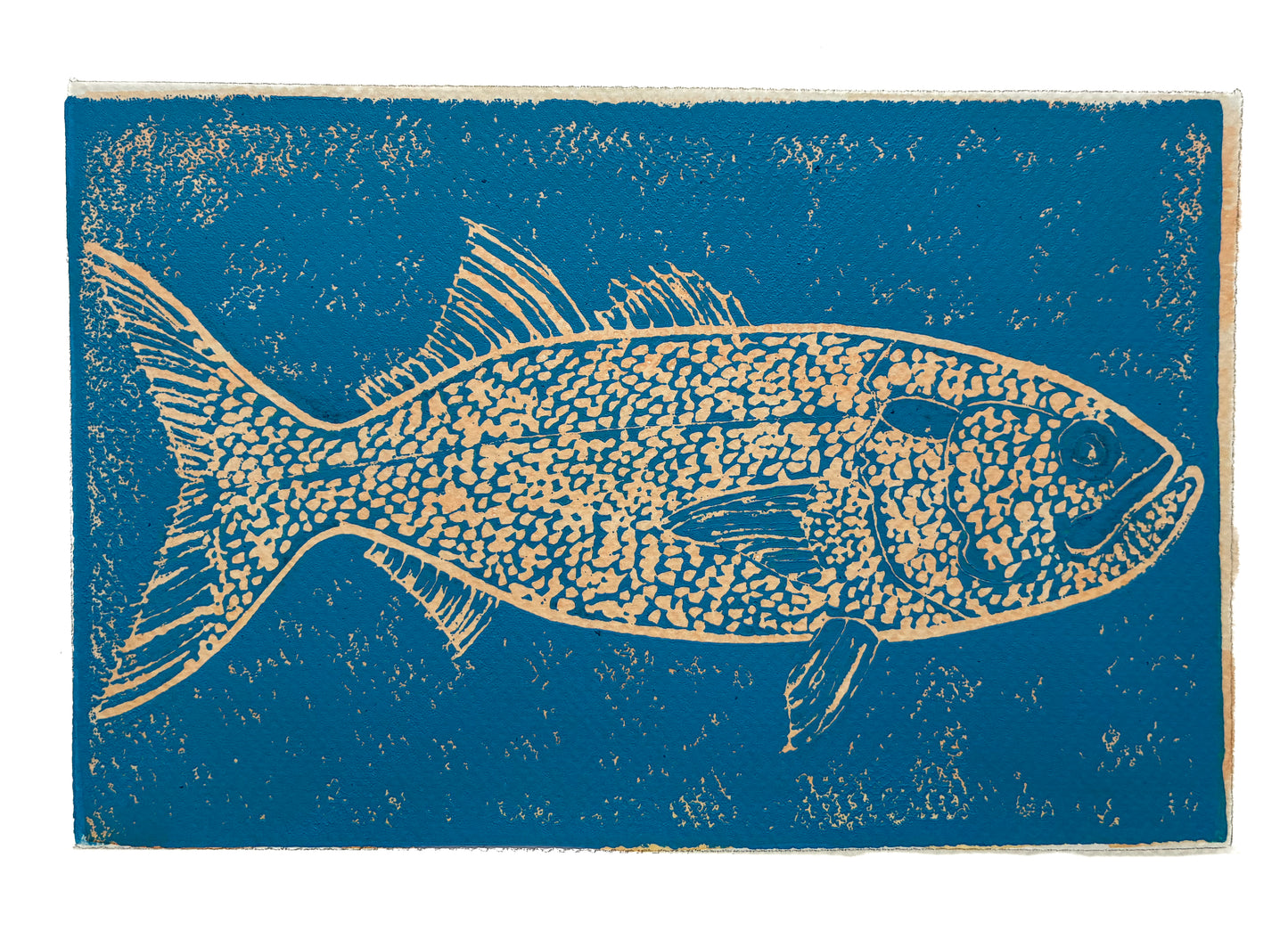 Print of a yellow bluefish on a blue background.
