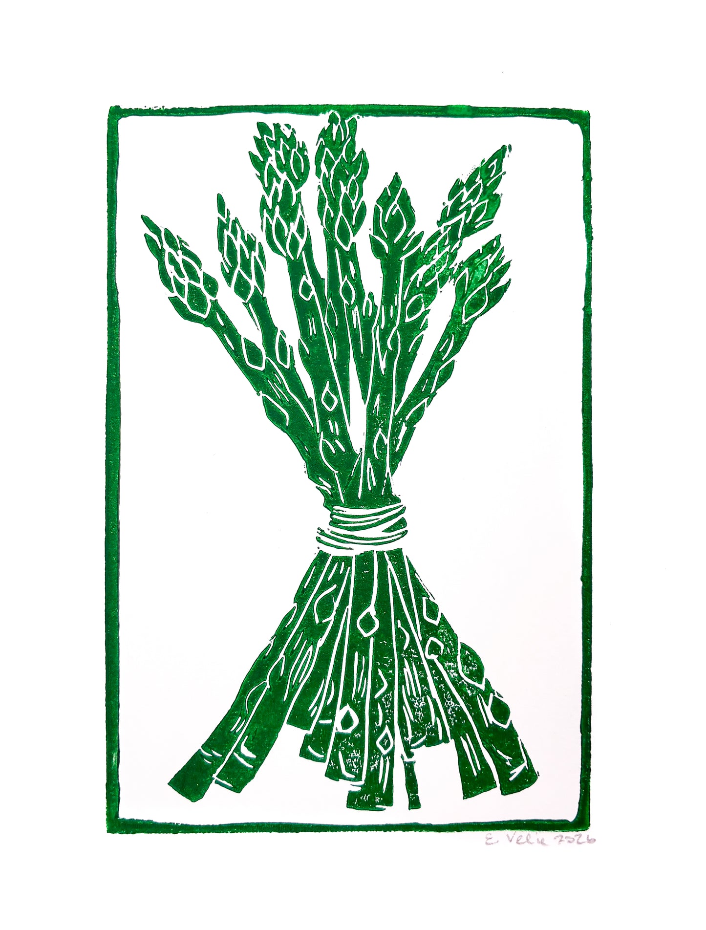 A green and white linocut style art print depicting a tied bundle of asparagus spears, framed by a green border on a white background.